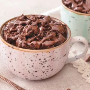 Hot Chocolate Mug Cake