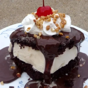 Shoney's Hot Fudge Cake Recipe